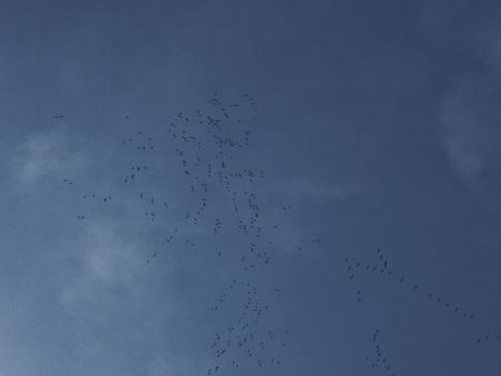03201.jpg 03201.jpg