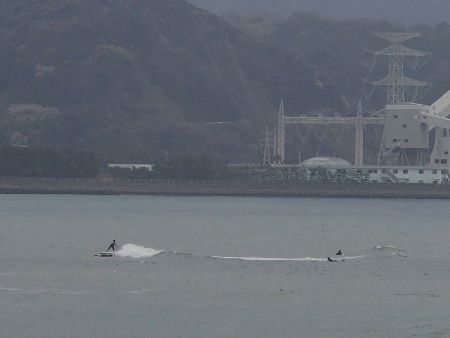 天草 あまくさ 波情報3301.jpg 天草 あまくさ 波情報3301.jpg