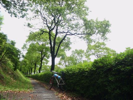 04225.jpg 04225.jpg