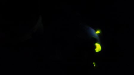52700.jpg 52700.jpg