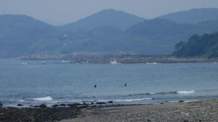 天草 あまくさ 波情報53102.jpg 天草 あまくさ 波情報53102.jpg