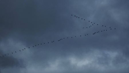 1026.jpg 1026.jpg