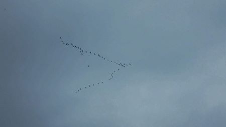 10271.jpg 10271.jpg