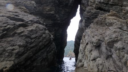 1201.jpg 1201.jpg