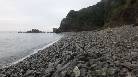 1202.jpg 1202.jpg