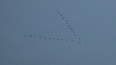 208.jpg 208.jpg