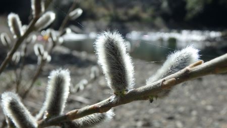271.jpg 271.jpg