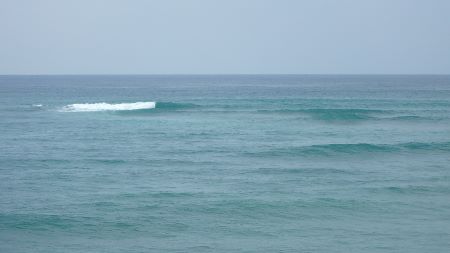 031.jpg 031.jpg