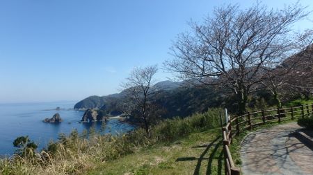 4040.jpg 4040.jpg