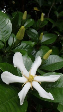 310.jpg 310.jpg