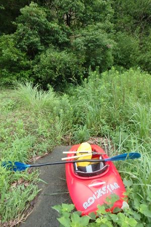 20170707-070.jpg 20170707-070.jpg