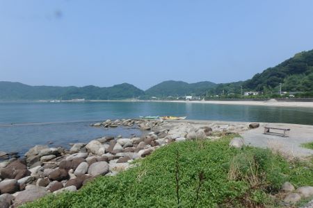 270.jpg 270.jpg