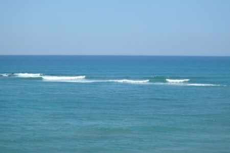 8021.jpg 8021.jpg