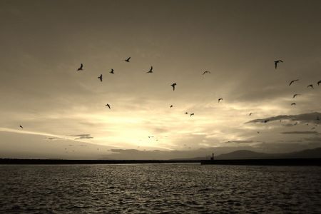 8050.jpg 8050.jpg