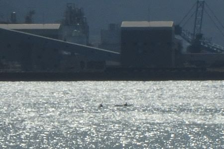 305.jpg 305.jpg
