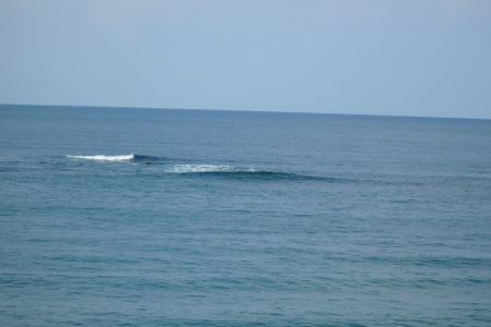 241.jpg 241.jpg