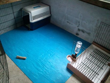 262.jpg 262.jpg