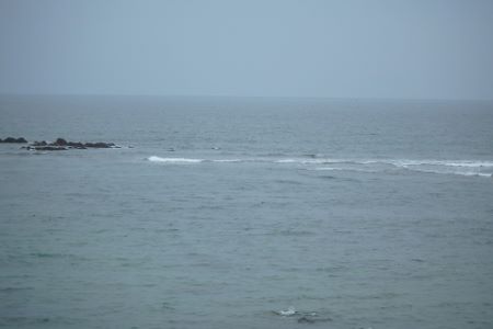 302.jpg 302.jpg