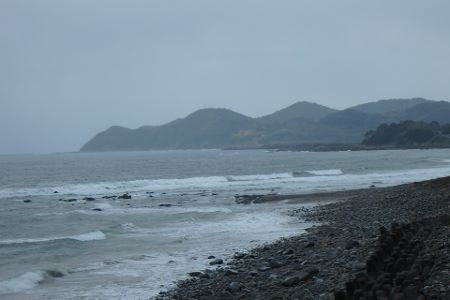 0523.jpg 0523.jpg