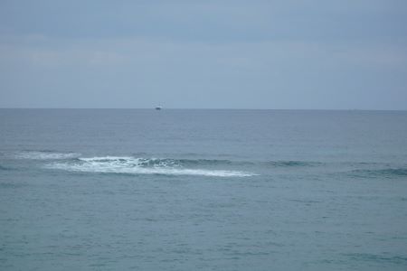 201.jpg 201.jpg
