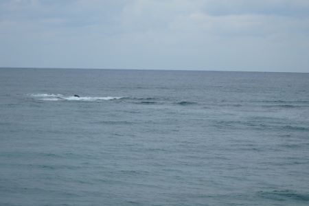 262.jpg 262.jpg