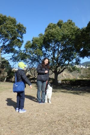熊本 ボーダーコリー しつけ 訓練 横手愛犬トレーニングnull 熊本 ボーダーコリー しつけ 訓練 横手愛犬トレーニングnull