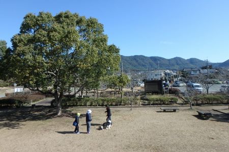 熊本 ボーダーコリー しつけ 訓練 横手愛犬トレーニングnull 熊本 ボーダーコリー しつけ 訓練 横手愛犬トレーニングnull