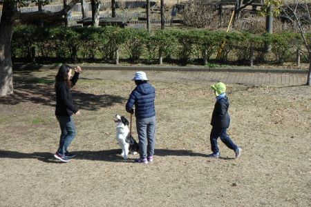 熊本 ボーダーコリー しつけ 訓練 横手愛犬トレーニングnull 熊本 ボーダーコリー しつけ 訓練 横手愛犬トレーニングnull
