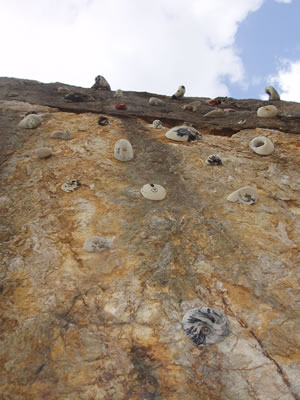 2007 2007
