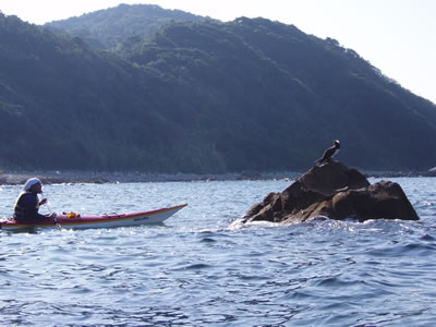 2009 2009