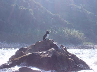 2011 2011