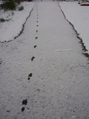 1201 1201
