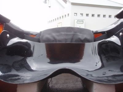 s13 s13