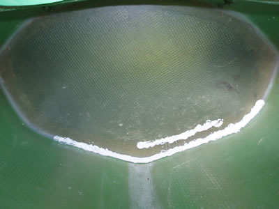 1564 1564