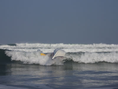 1020 1020
