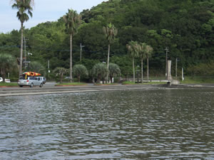 9085.jpg 9085.jpg