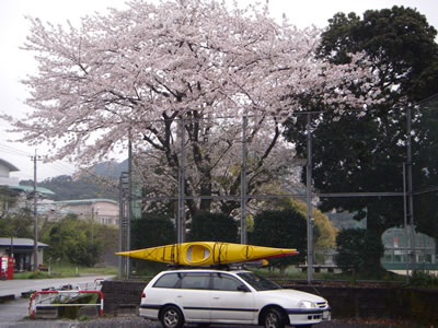 068 068
